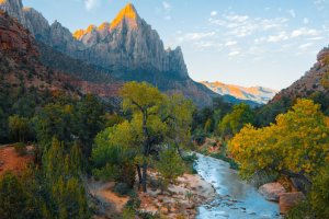 Utah Forest Canyon with stream widescreen