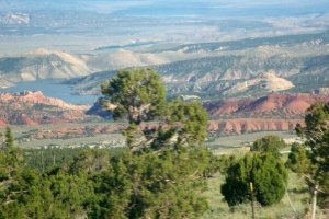 Utah Forest wide mountain view widescreen